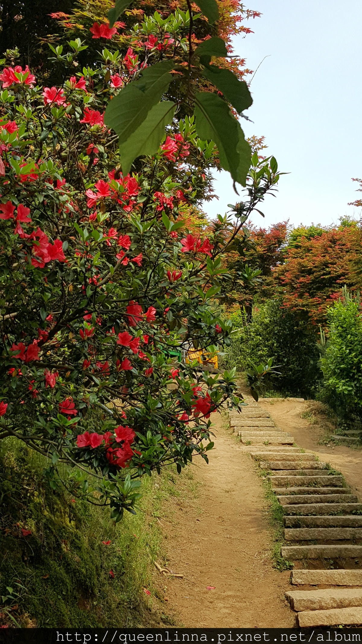 20150418_084330.jpg 20150418_084330.jpg