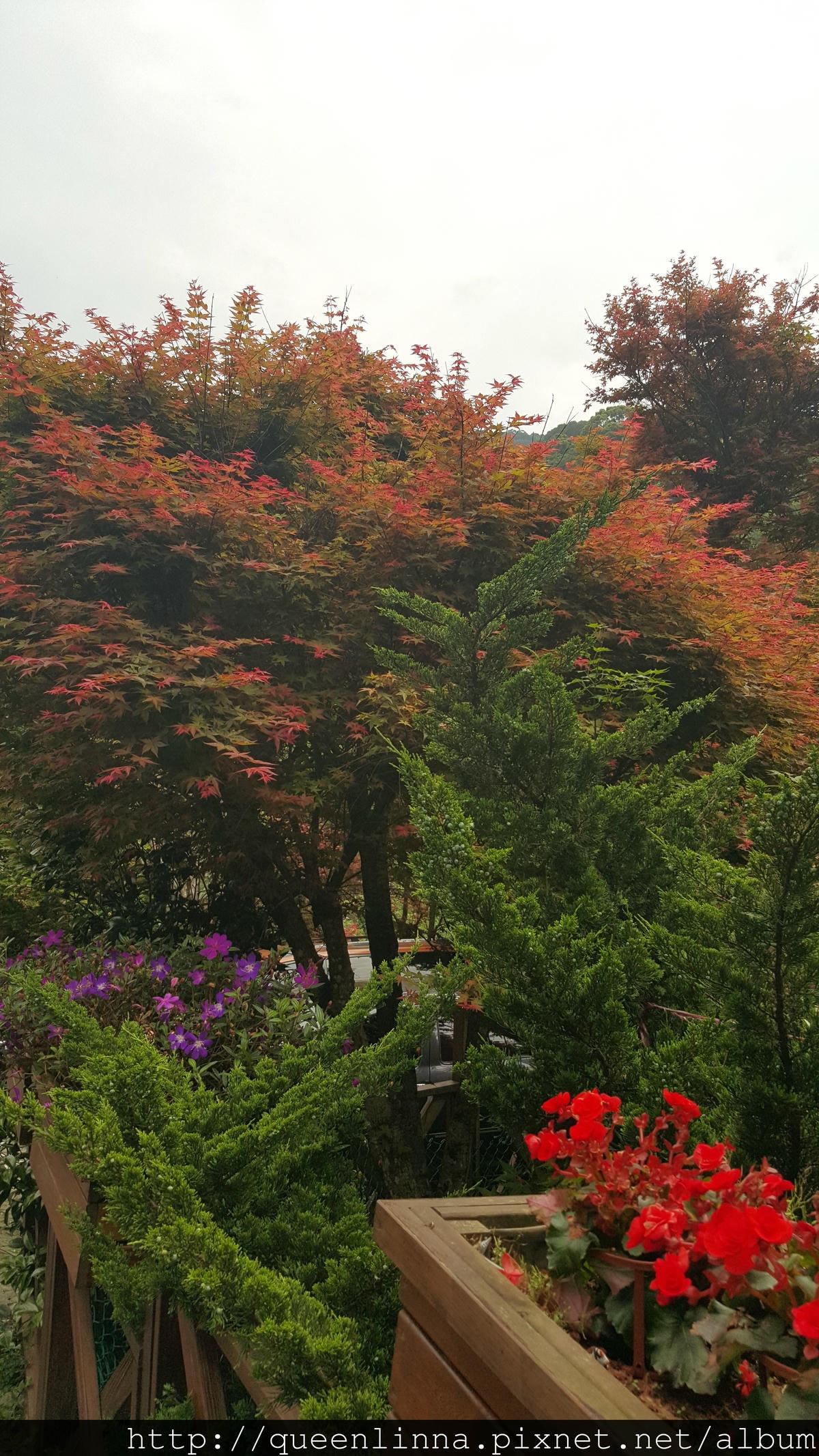 20150418_102132.jpg 20150418_102132.jpg