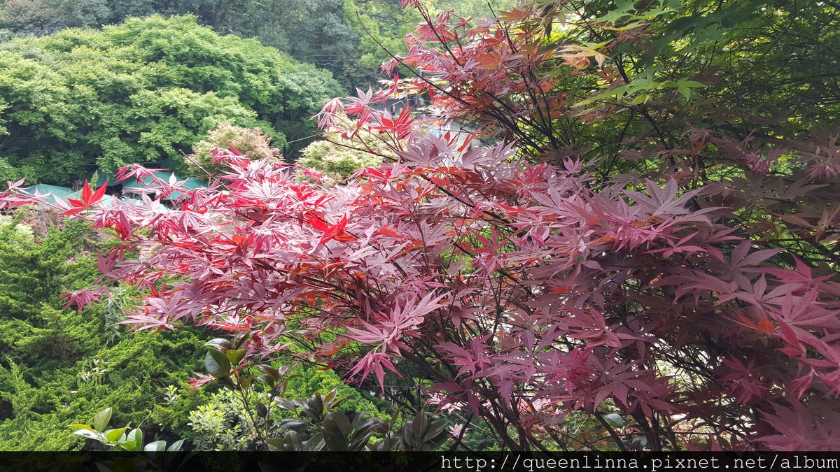 20150418_083939.jpg 20150418_083939.jpg