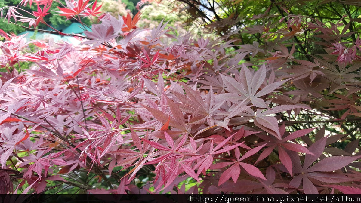 20150418_083948.jpg 20150418_083948.jpg