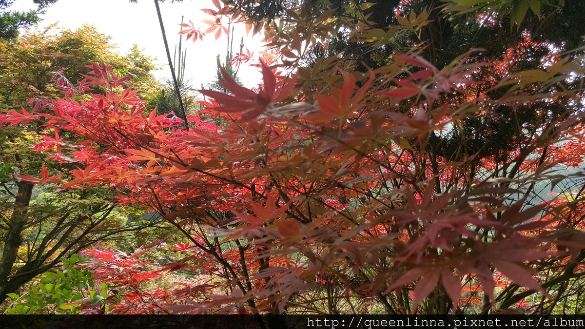 20150418_091601.jpg 20150418_091601.jpg