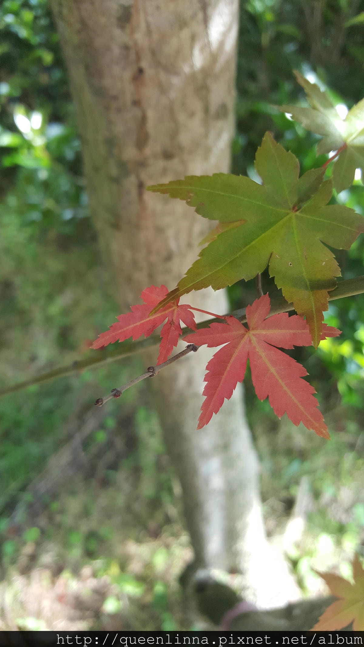 20150418_085433.jpg 20150418_085433.jpg