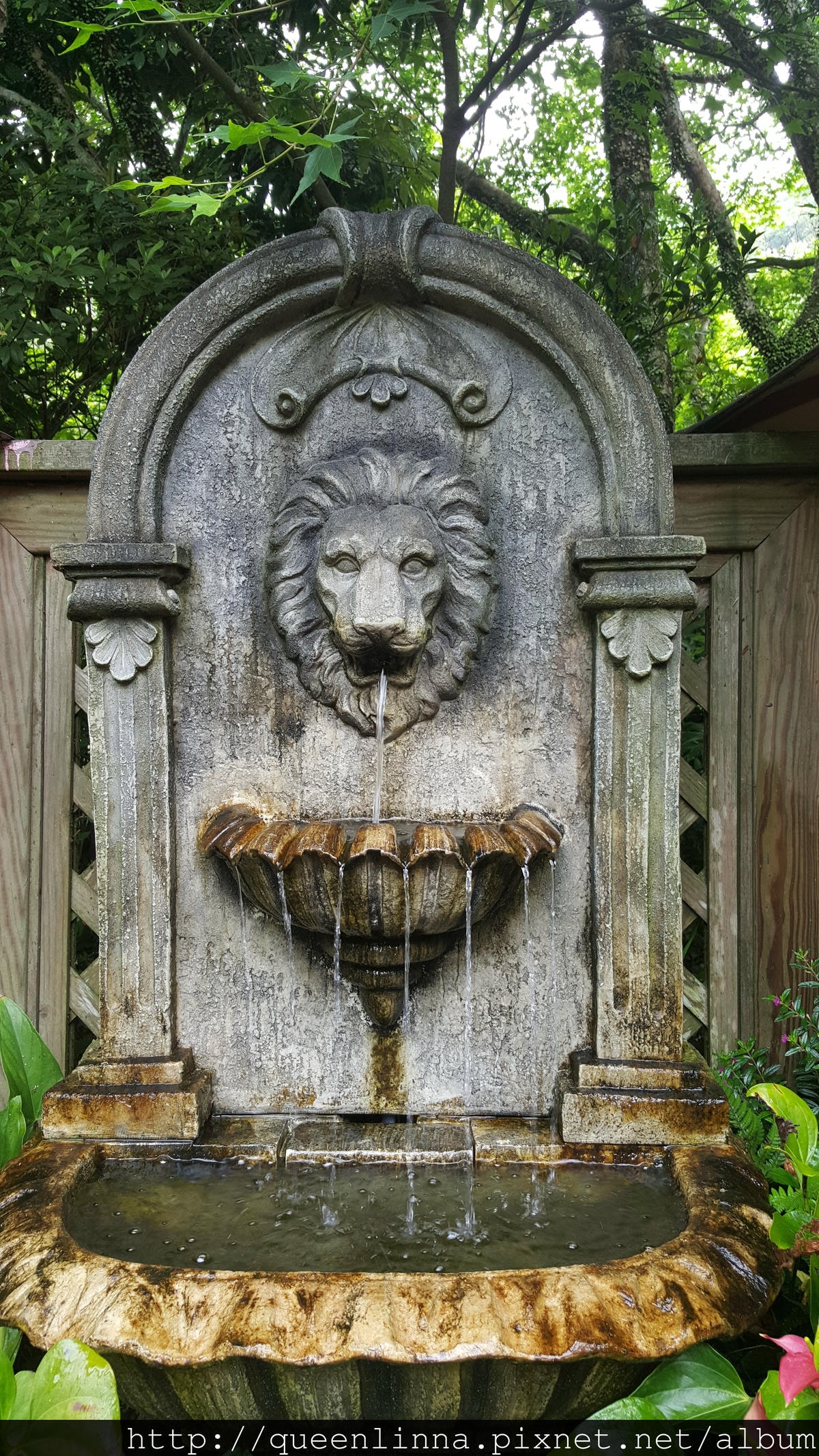 20150418_090638.jpg 20150418_090638.jpg