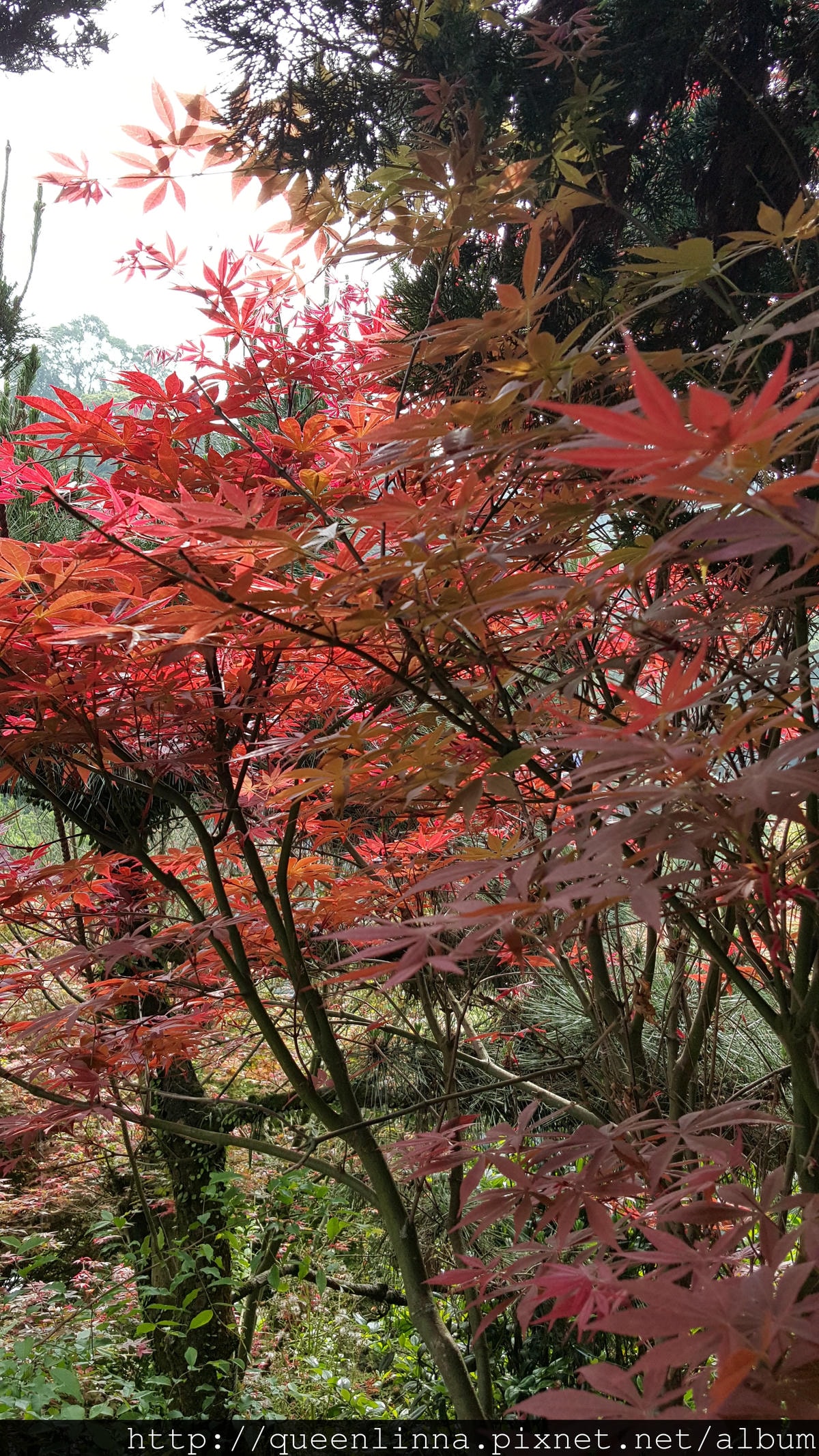 20150418_084112.jpg 20150418_084112.jpg