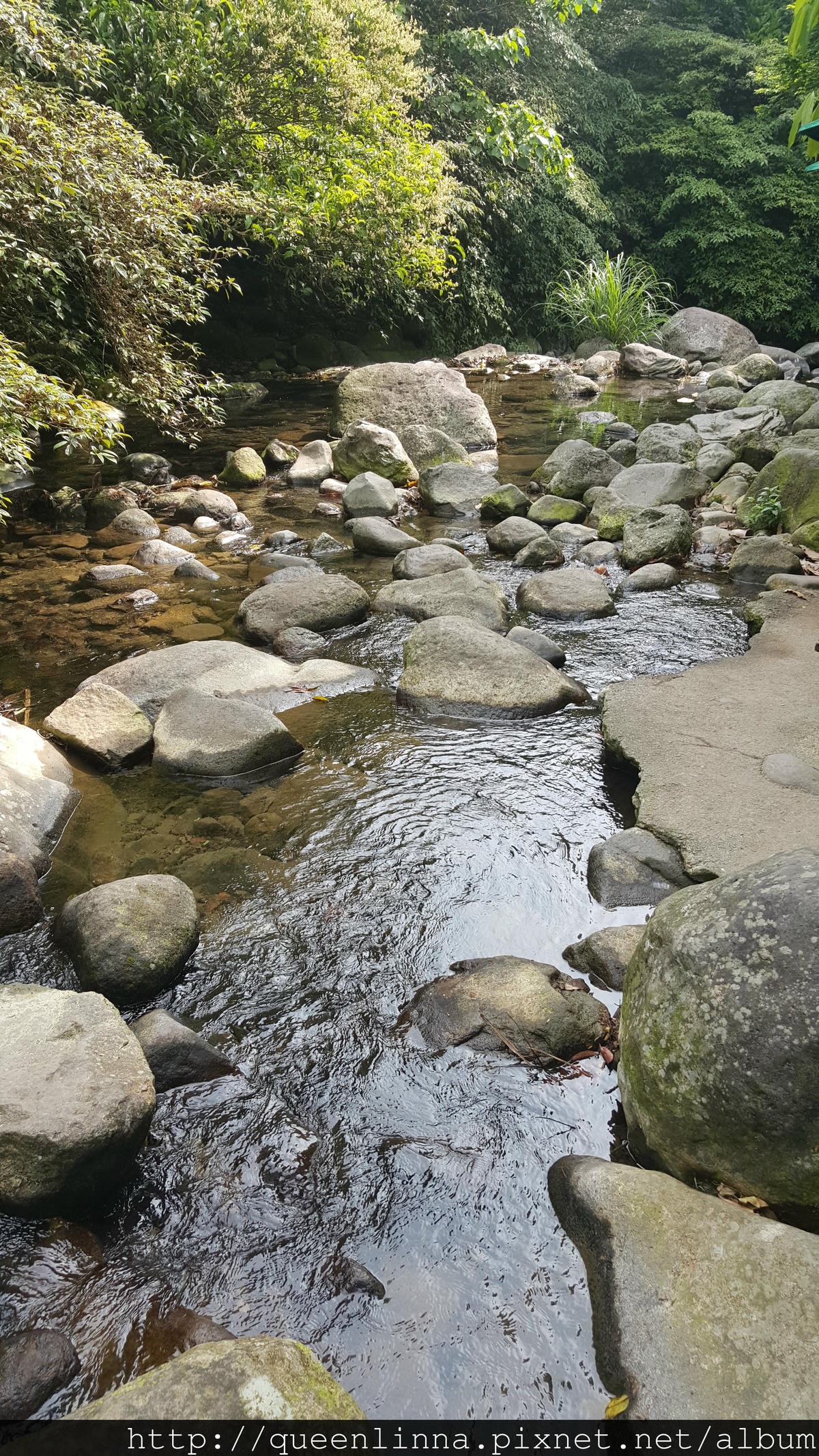 20150418_090115.jpg 20150418_090115.jpg