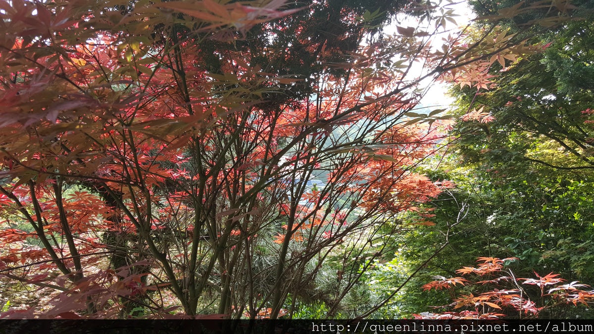 20150418_092021.jpg 20150418_092021.jpg