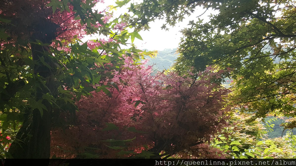 20150418_084954.jpg 20150418_084954.jpg