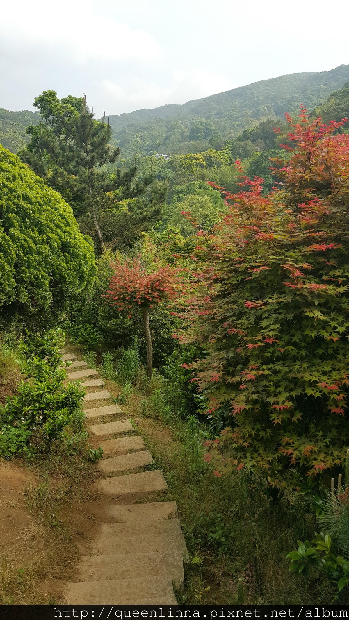 20150418_085456.jpg 20150418_085456.jpg