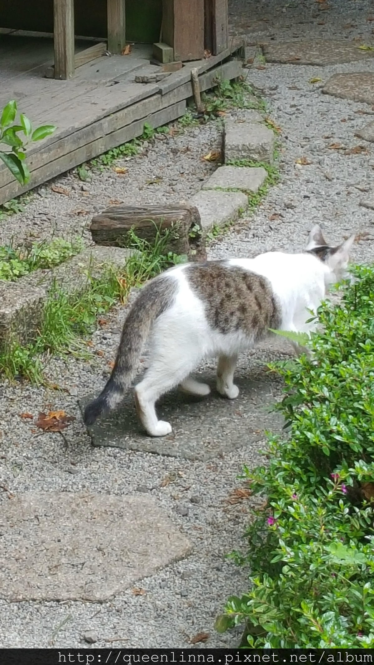 20150418_090238.jpg 20150418_090238.jpg