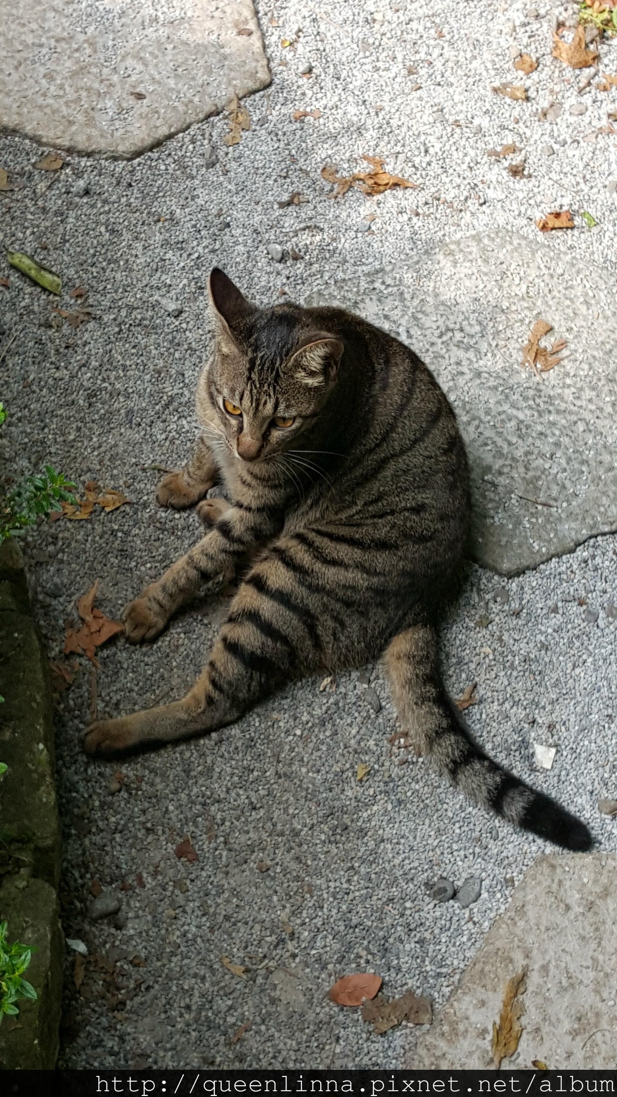 20150418_083506.jpg 20150418_083506.jpg