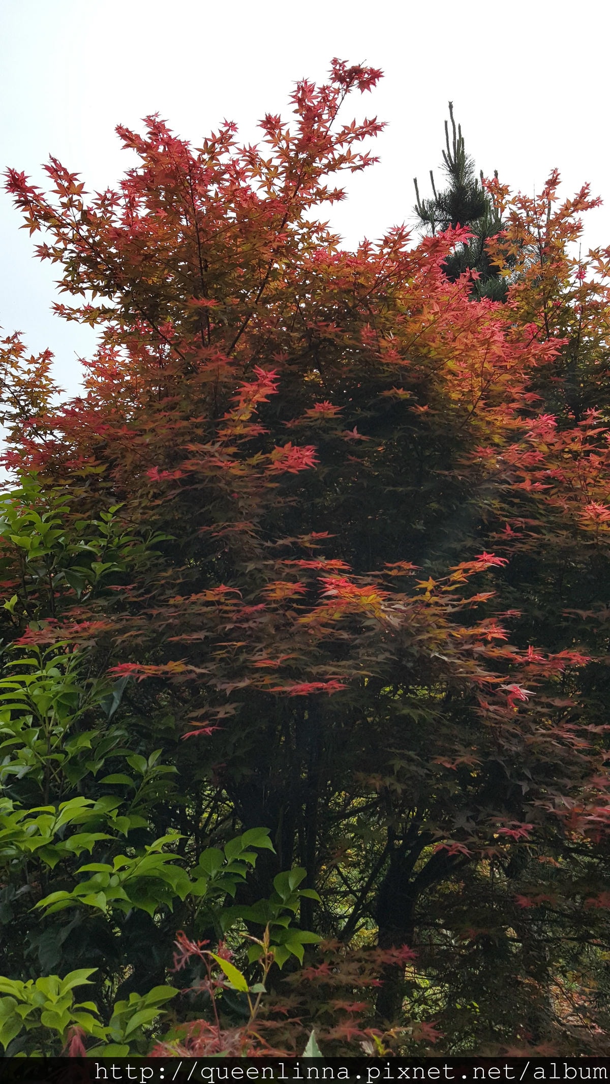 20150418_084056.jpg 20150418_084056.jpg