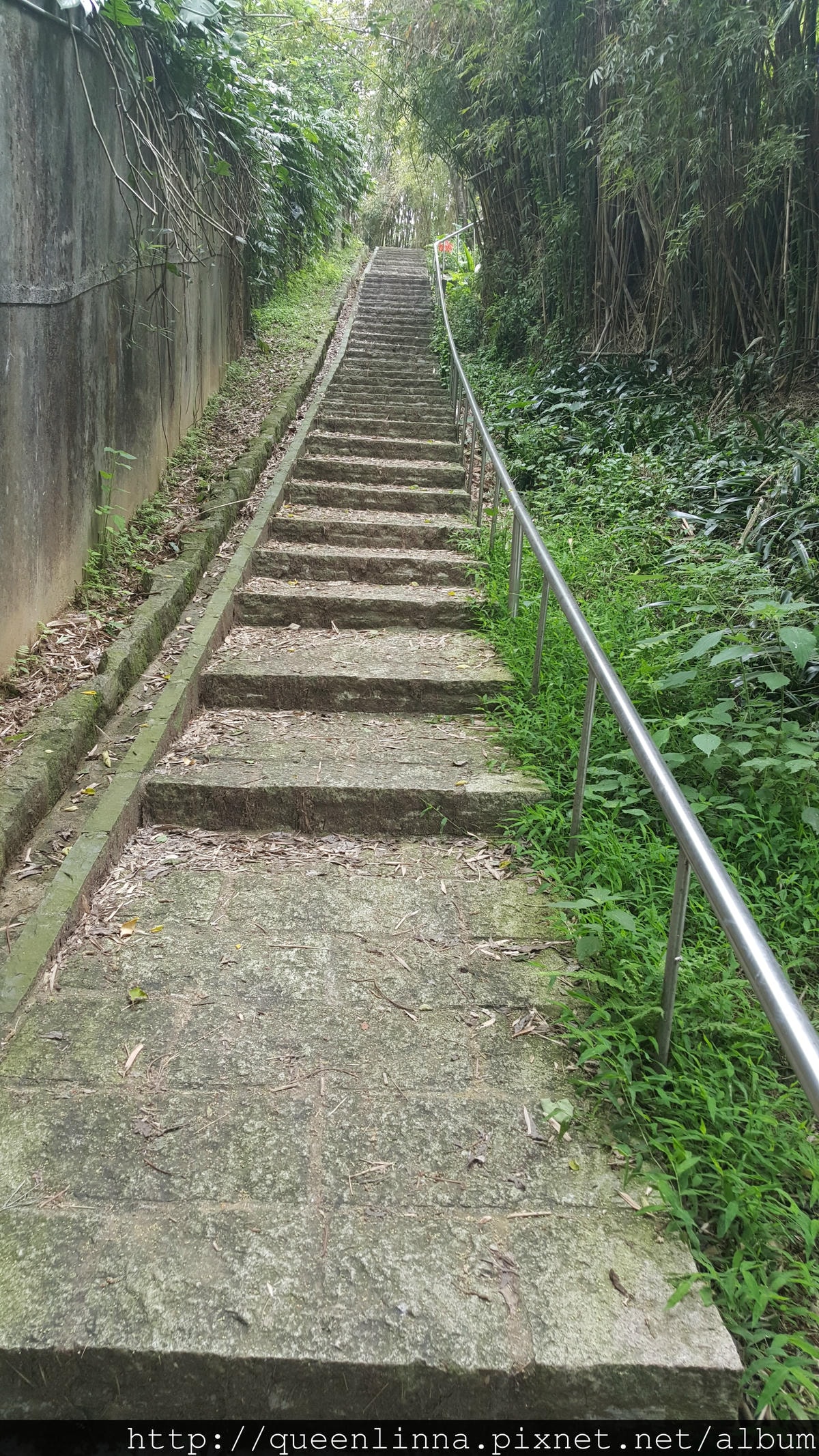 20150418_102858 (1).jpg 20150418_102858 (1).jpg