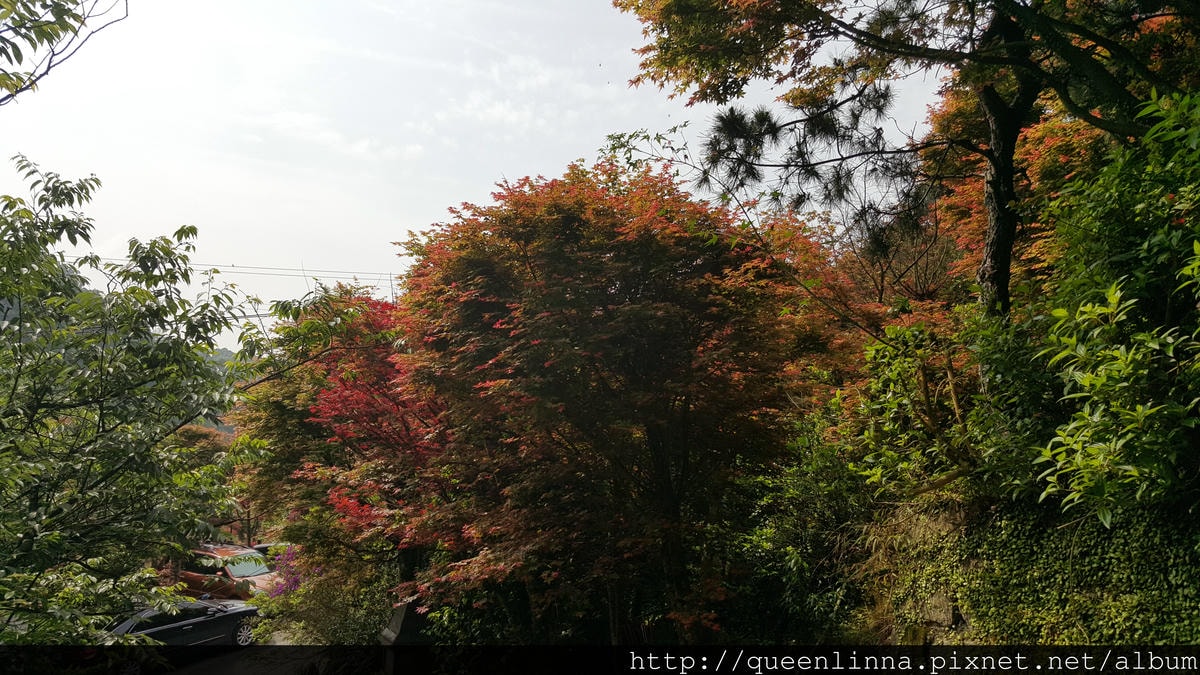 20150418_092214.jpg 20150418_092214.jpg