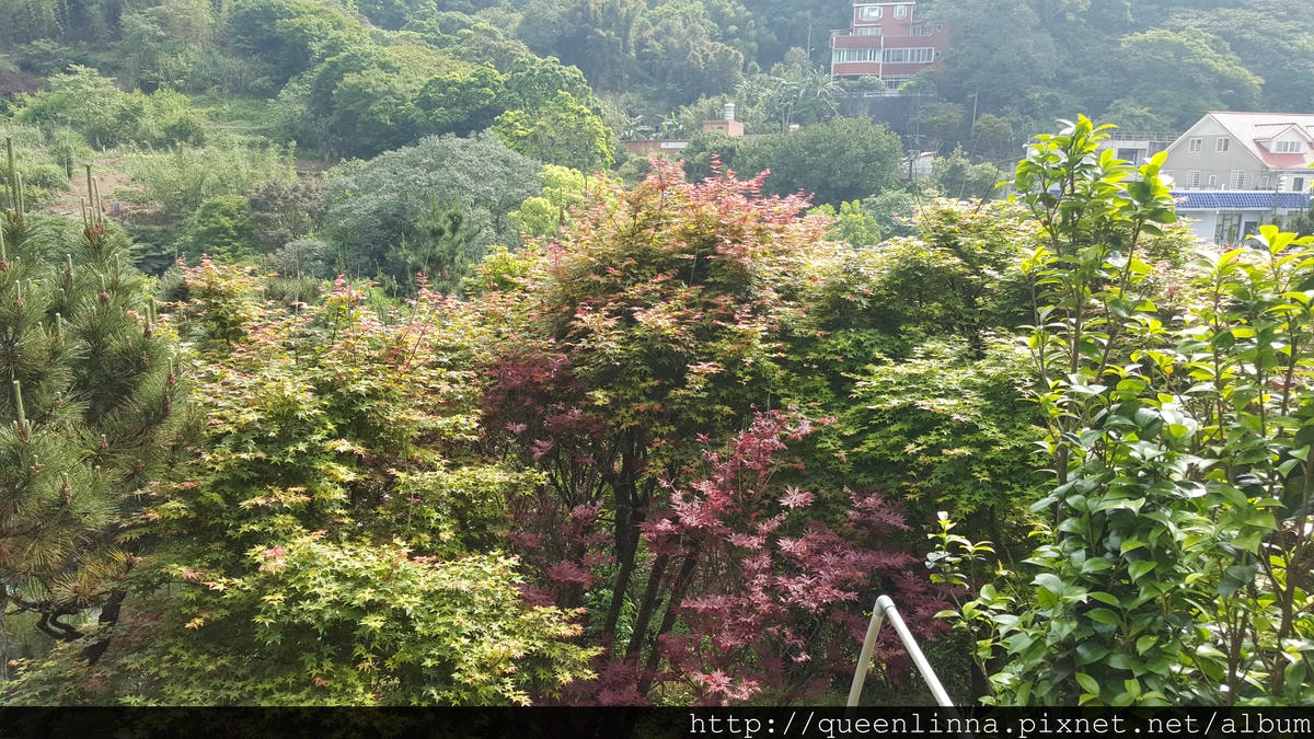 20150418_091747.jpg 20150418_091747.jpg