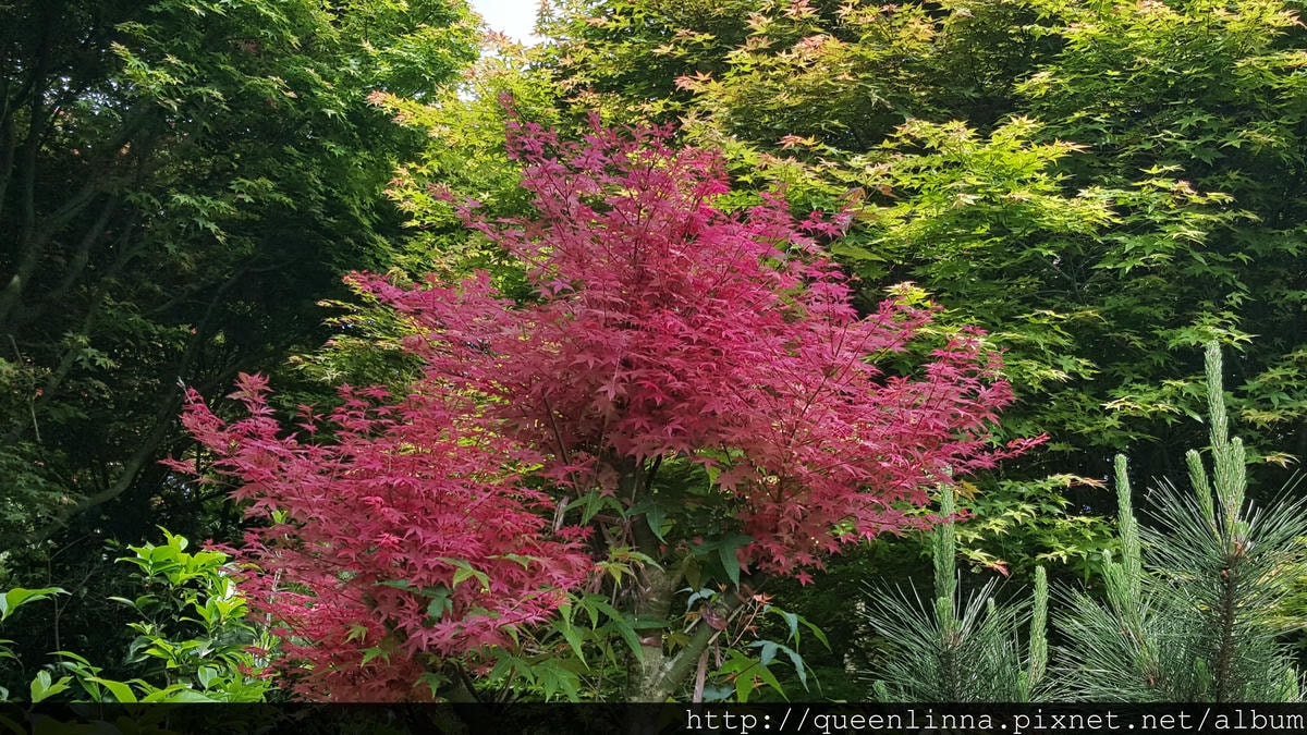 20150418_091801.jpg 20150418_091801.jpg