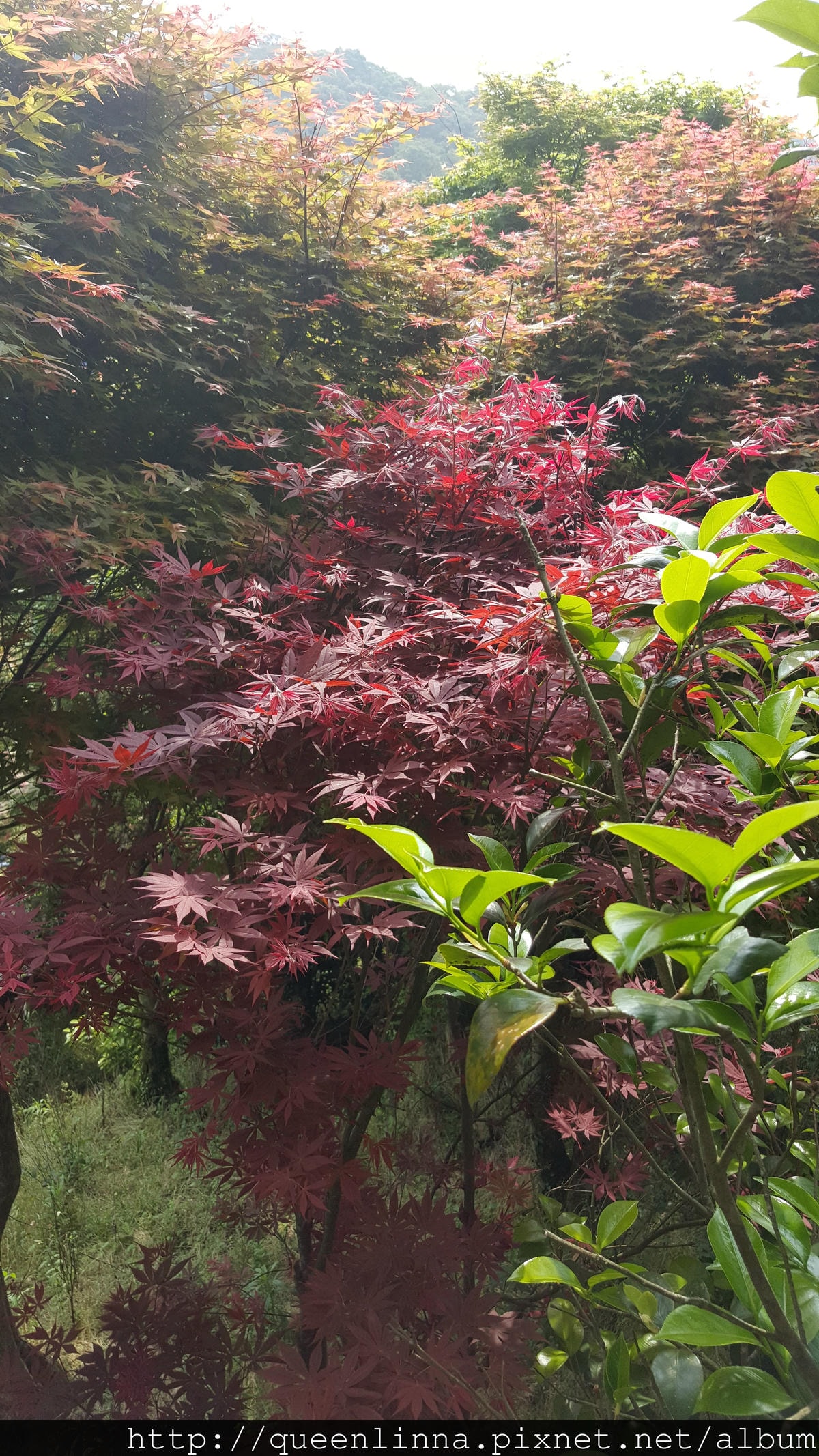 20150418_091703.jpg 20150418_091703.jpg