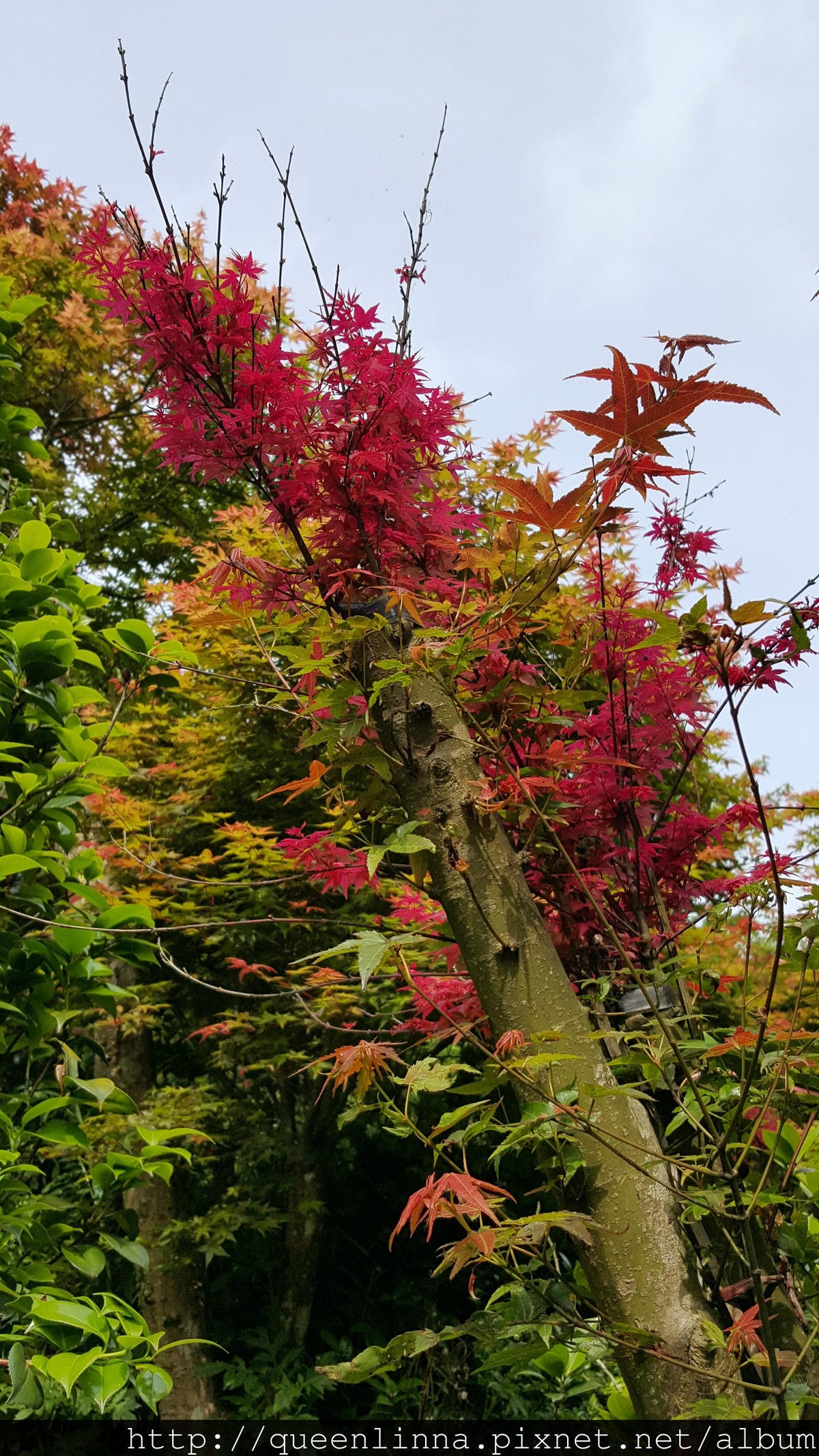 20150418_084144.jpg 20150418_084144.jpg