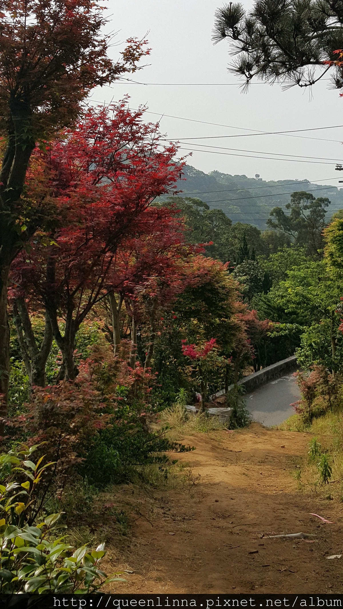 20150418_084319.jpg 20150418_084319.jpg