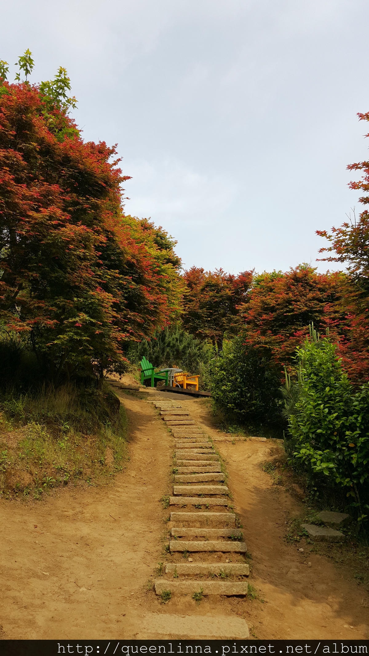 20150418_084349.jpg 20150418_084349.jpg