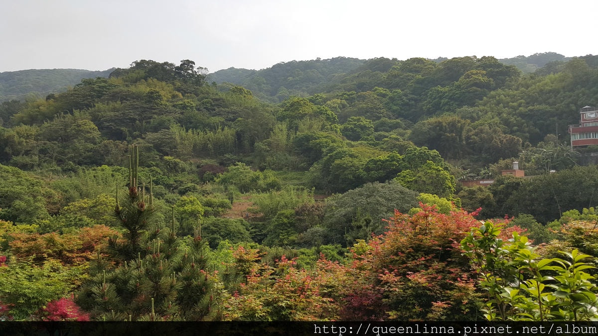 20150418_084243.jpg 20150418_084243.jpg