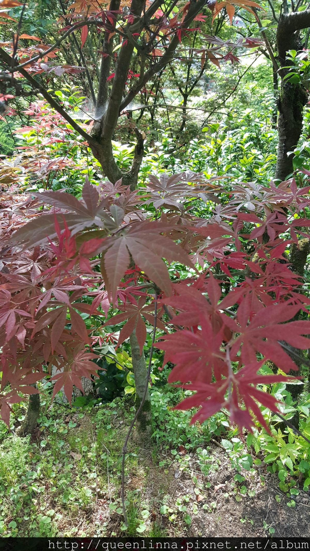 20150418_084007.jpg 20150418_084007.jpg