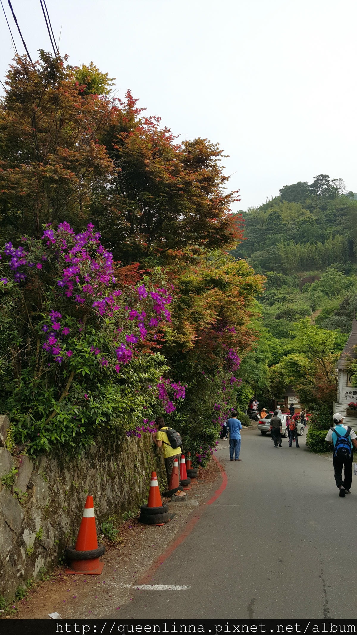 20150418_081735.jpg 20150418_081735.jpg