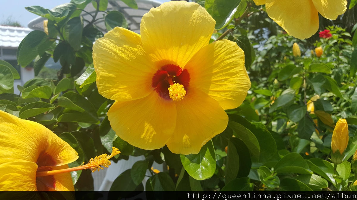 20150718_120354.jpg 20150718_120354.jpg