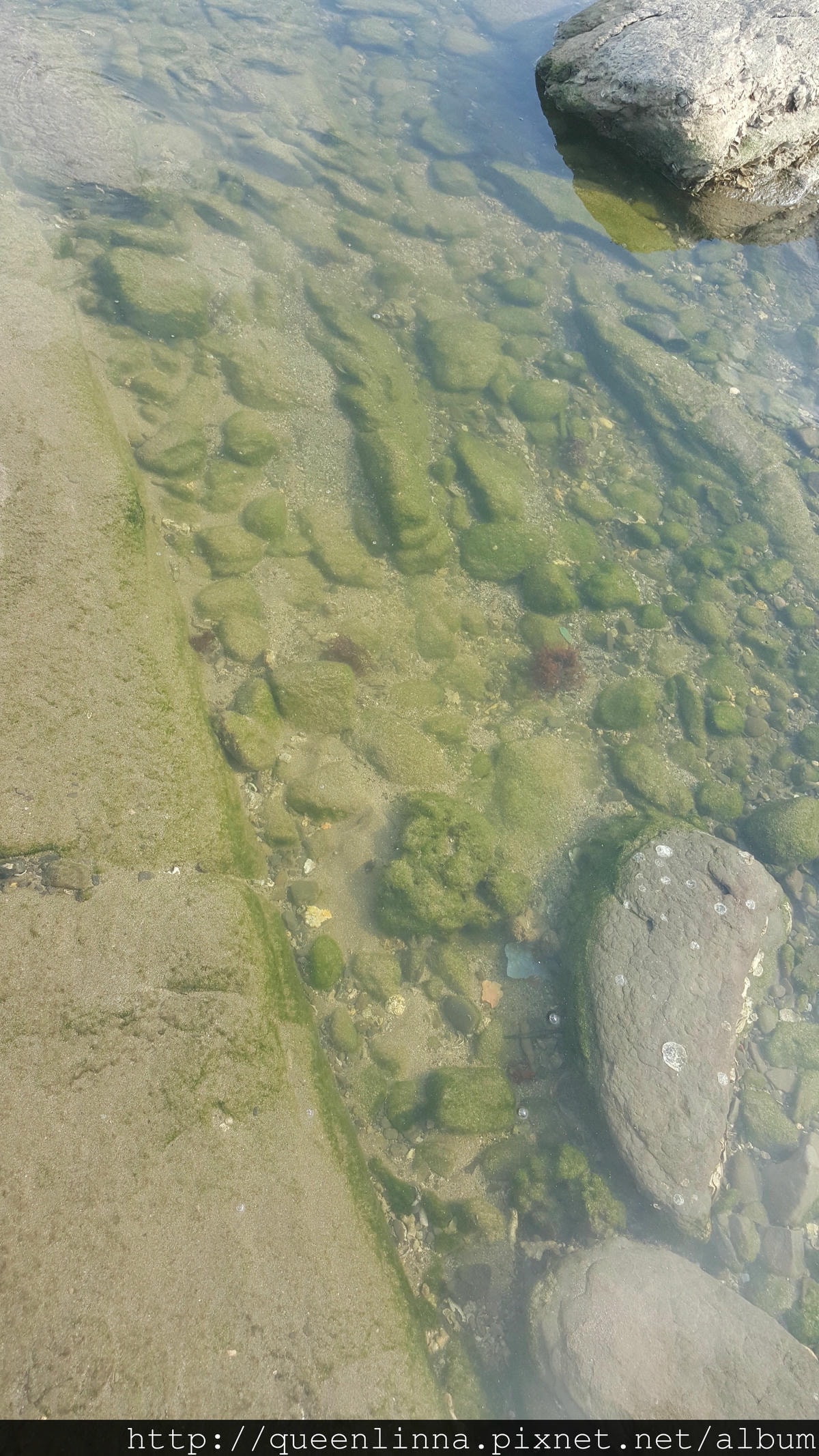 20150718_162232.jpg 20150718_162232.jpg