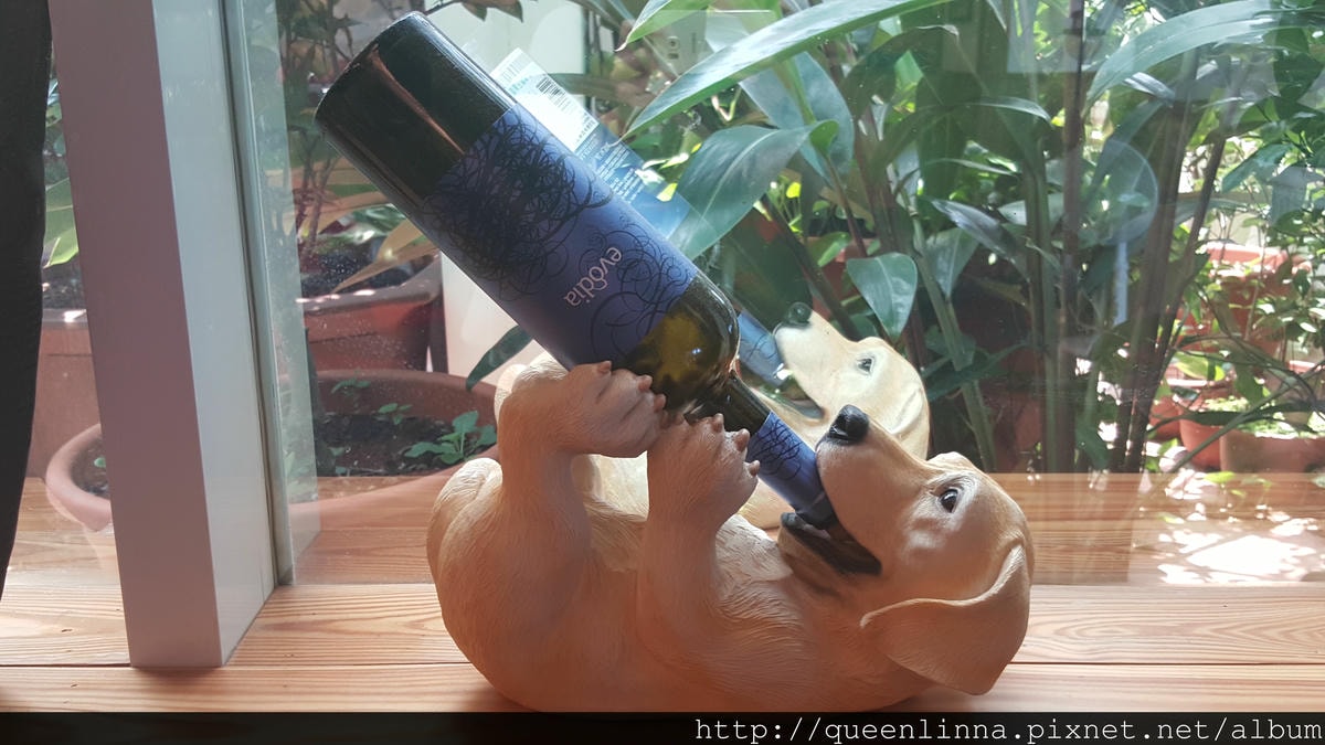 20150718_121133.jpg 20150718_121133.jpg