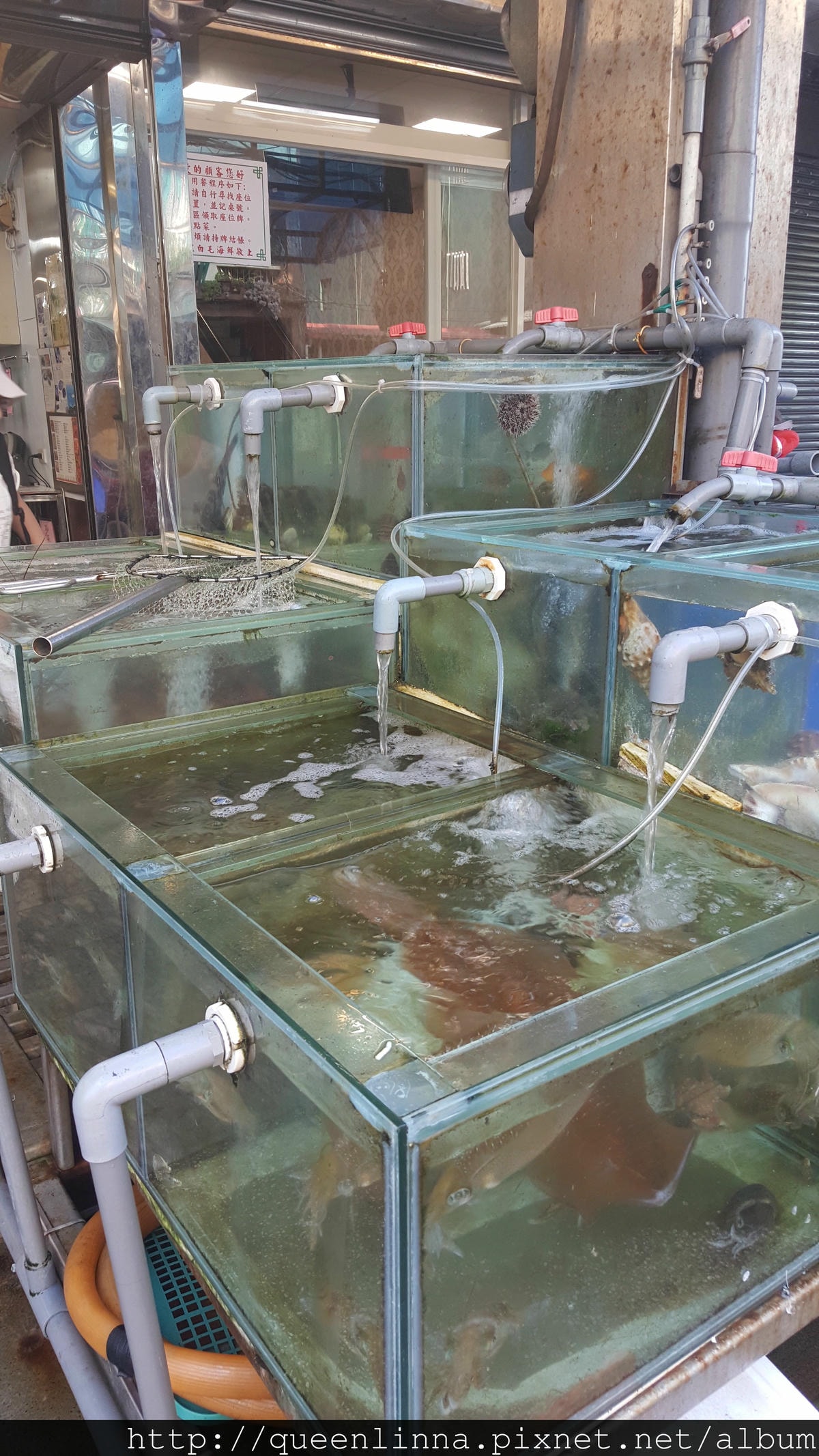 20150718_165909.jpg 20150718_165909.jpg