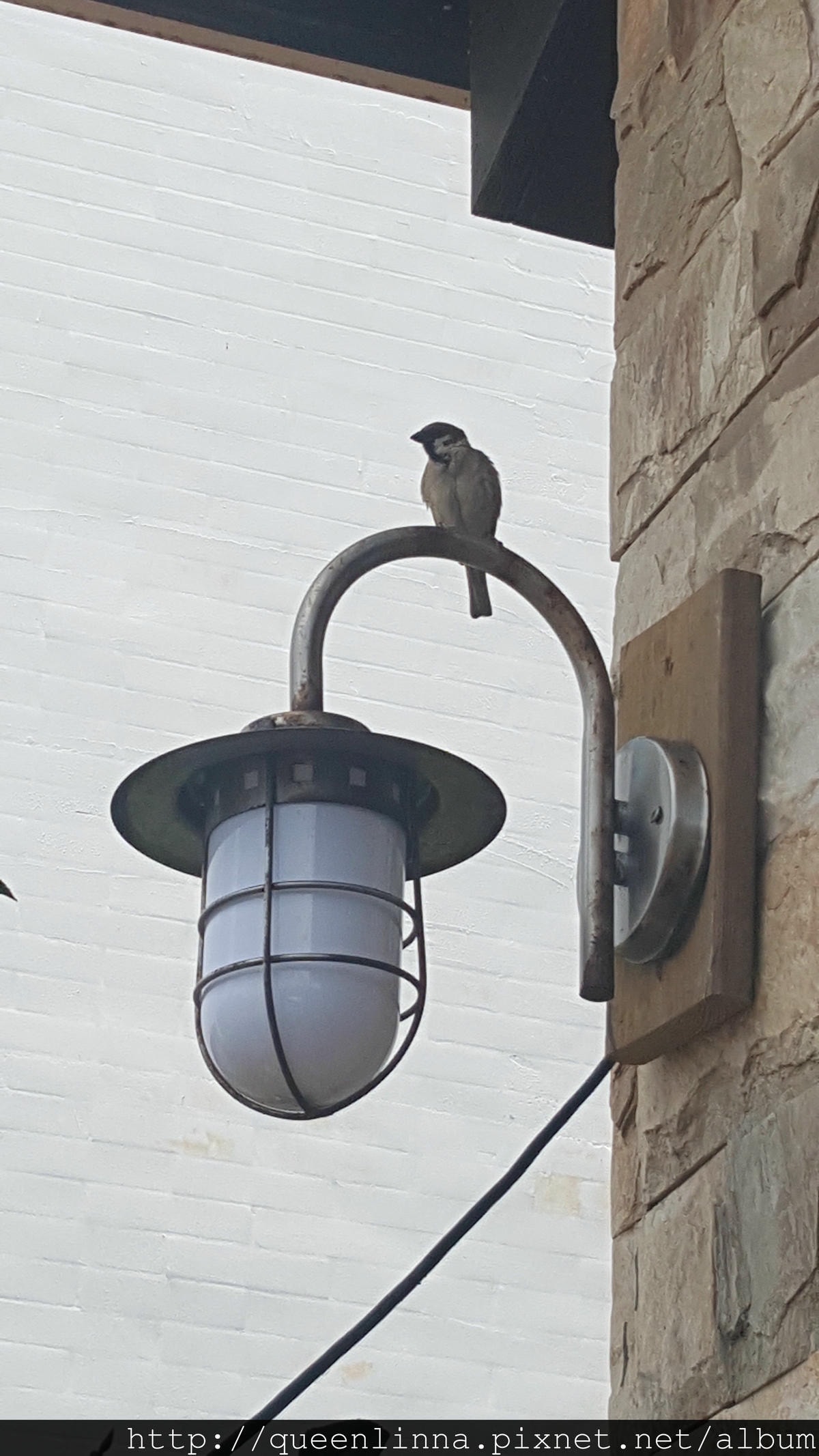 20150718_120613.jpg 20150718_120613.jpg