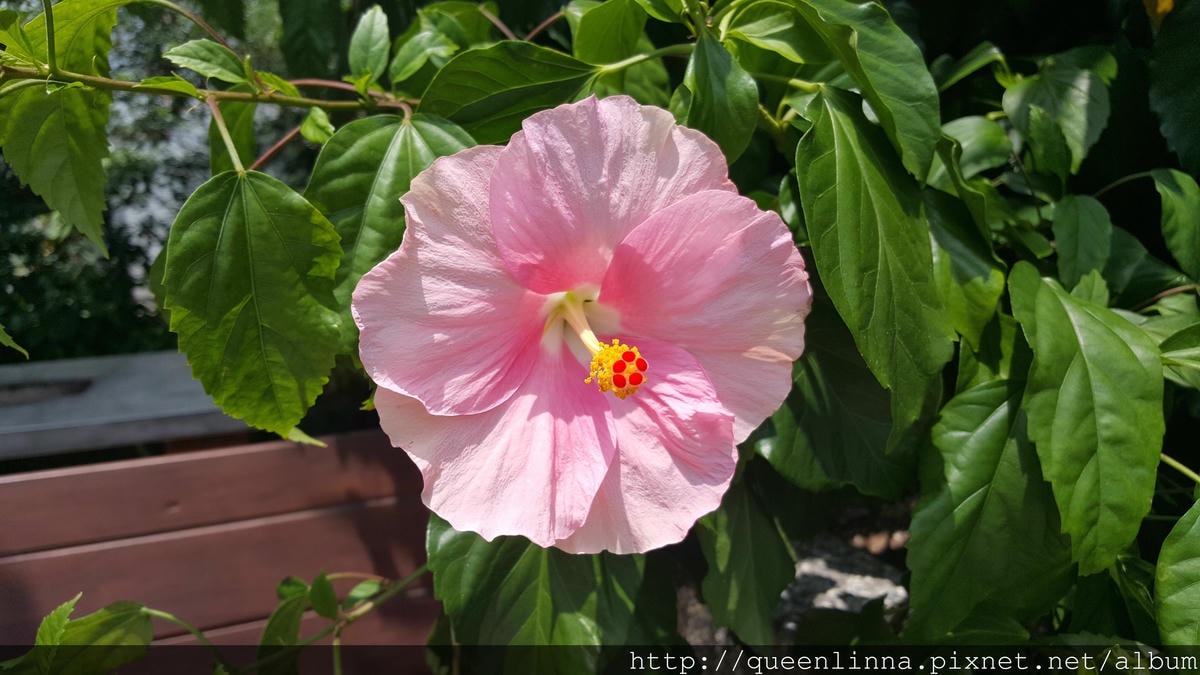 20150718_125517.jpg 20150718_125517.jpg