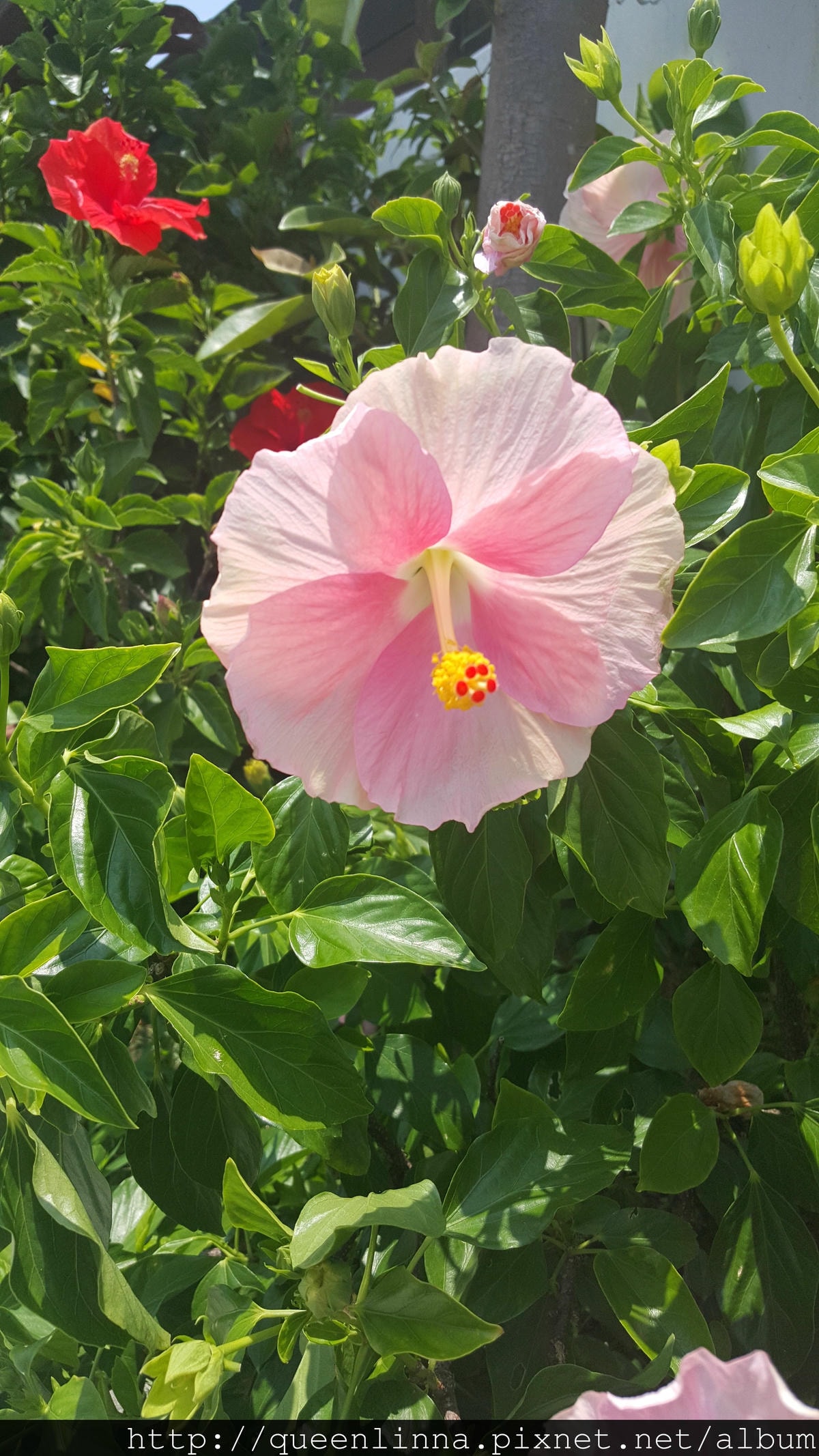 20150718_120302.jpg 20150718_120302.jpg