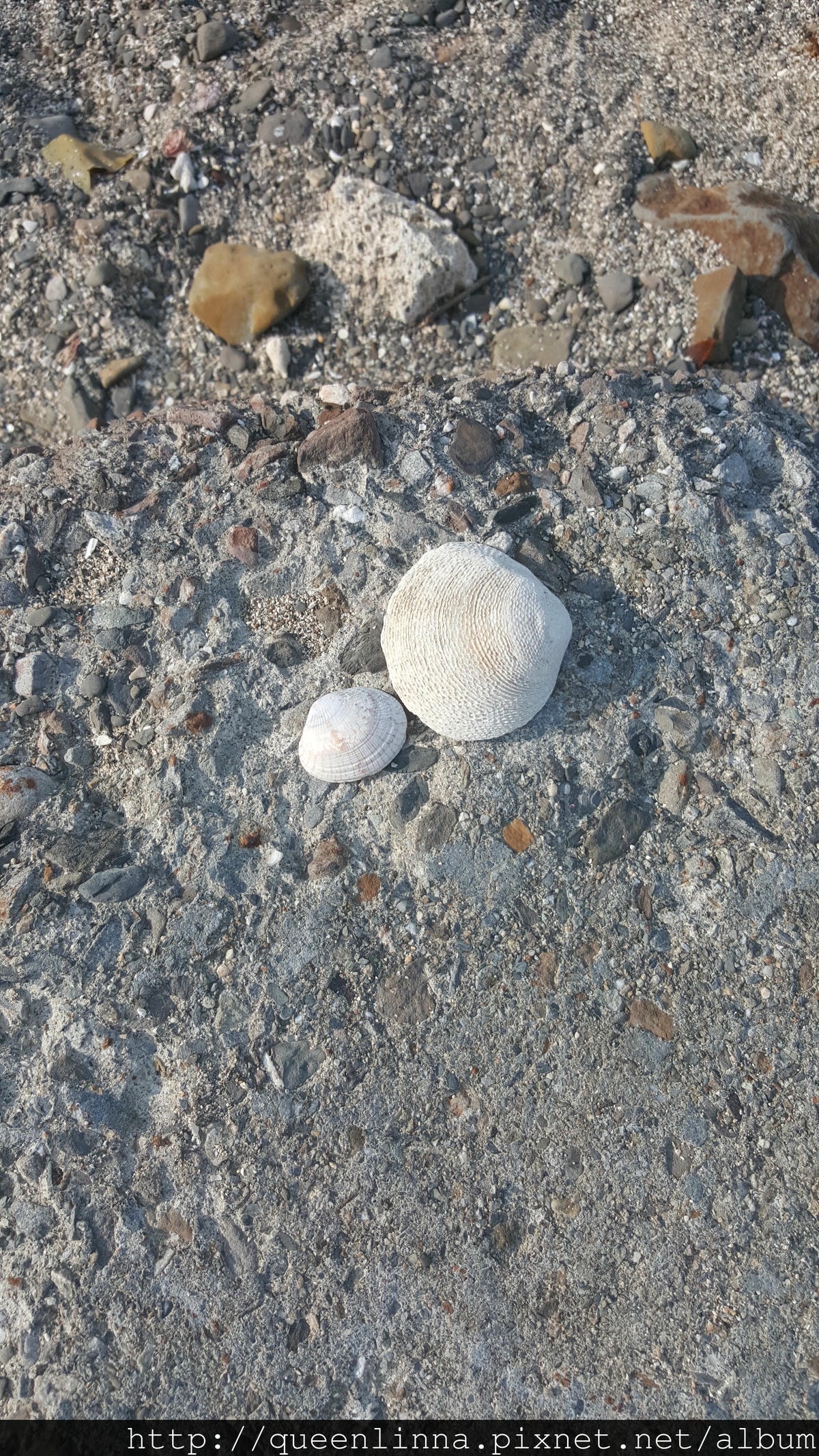 20150718_161911.jpg 20150718_161911.jpg