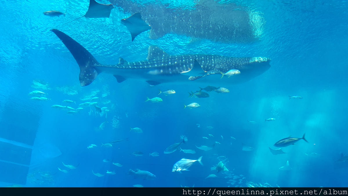 20150918_132335.jpg 20150918_132335.jpg