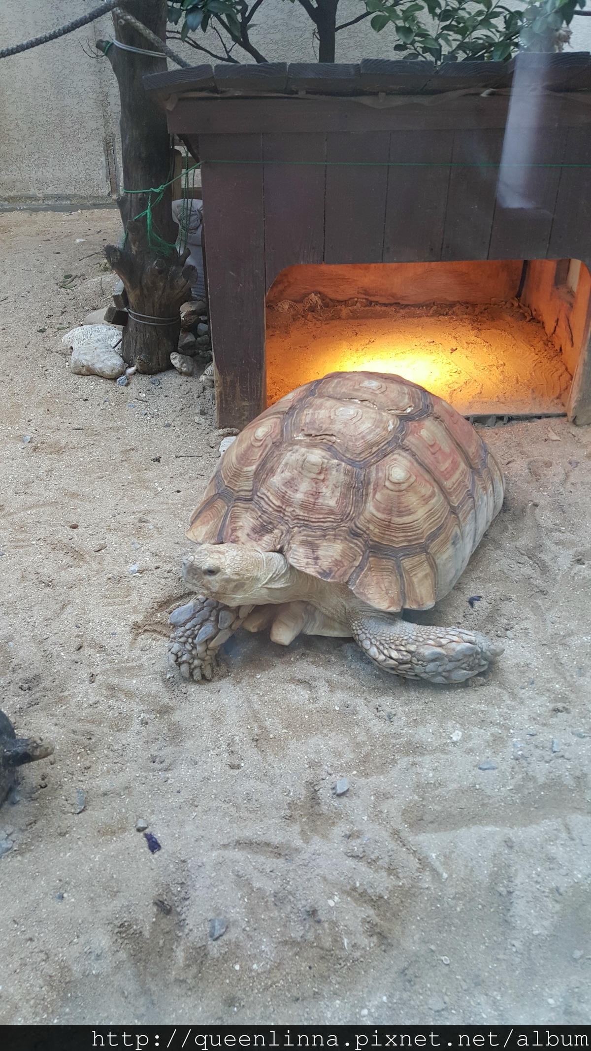 20150919_075746.jpg 20150919_075746.jpg