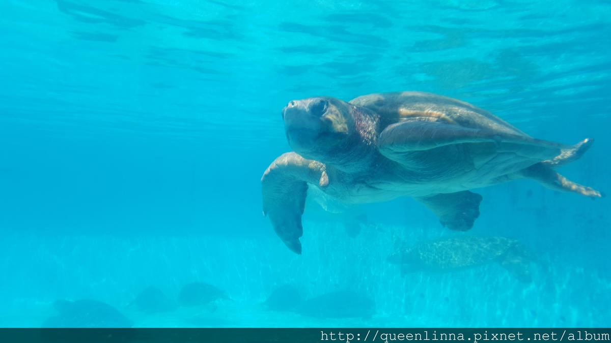 20150918_141043.jpg 20150918_141043.jpg