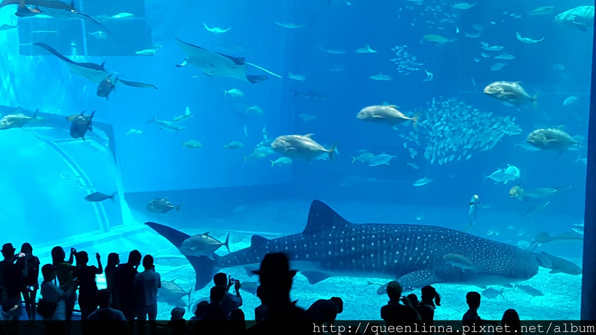 20150918_132154.jpg 20150918_132154.jpg