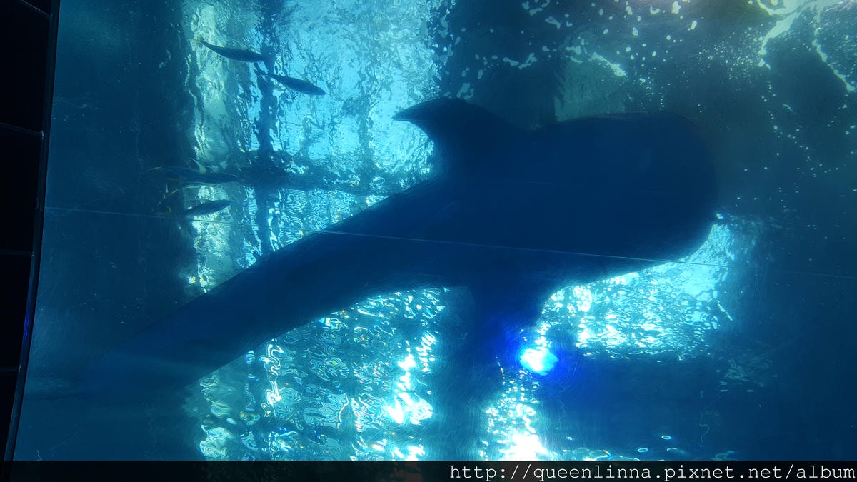 20150918_135310.jpg 20150918_135310.jpg