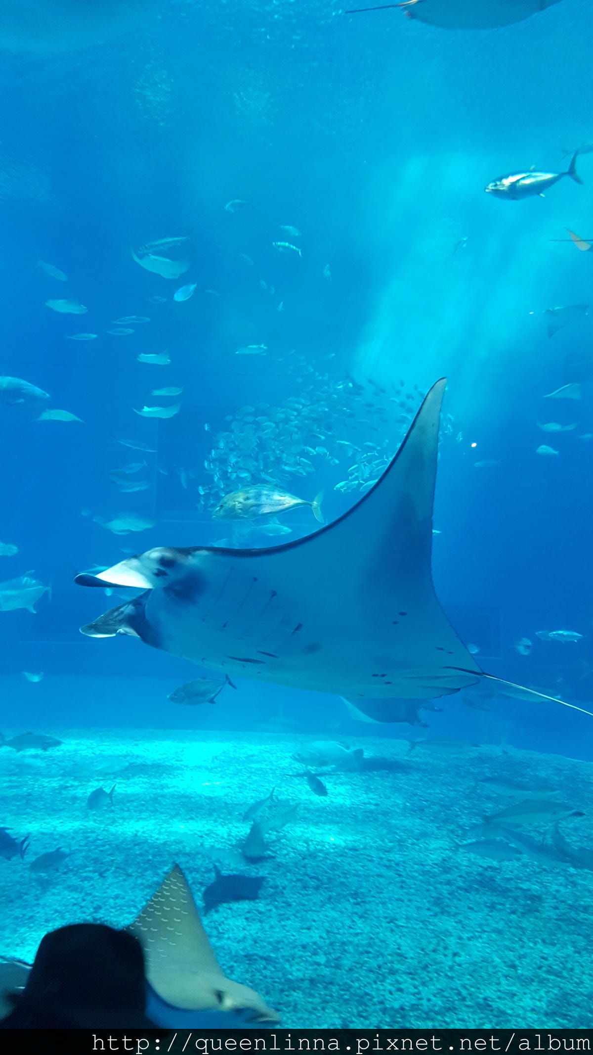 20150918_132330.jpg 20150918_132330.jpg