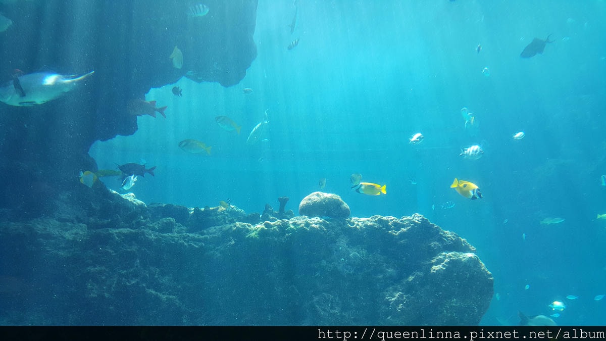 20150918_124346.jpg 20150918_124346.jpg