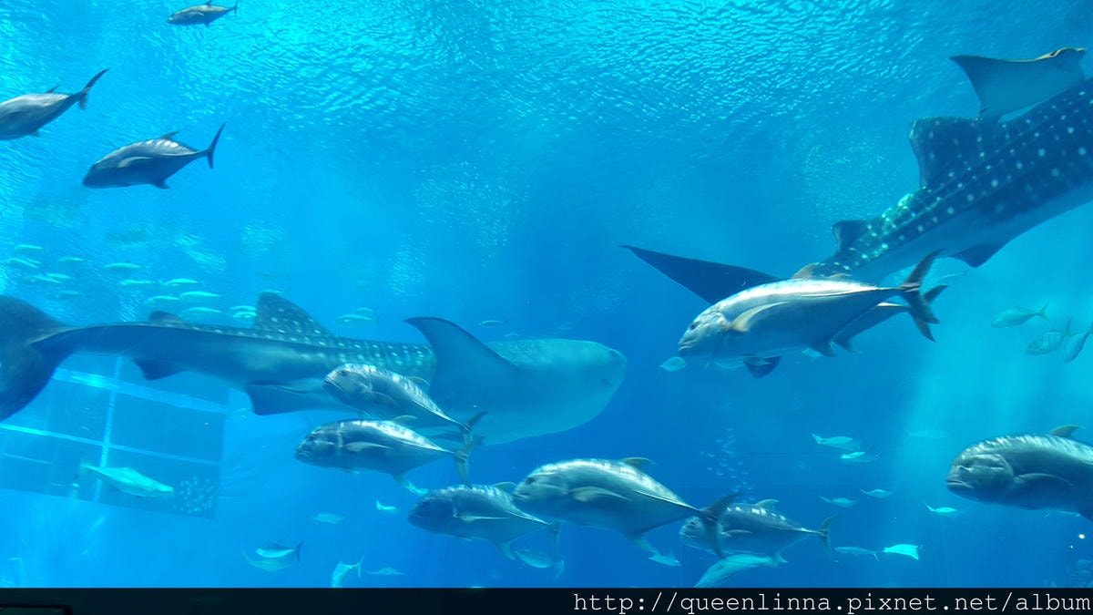 20150918_132344.jpg 20150918_132344.jpg