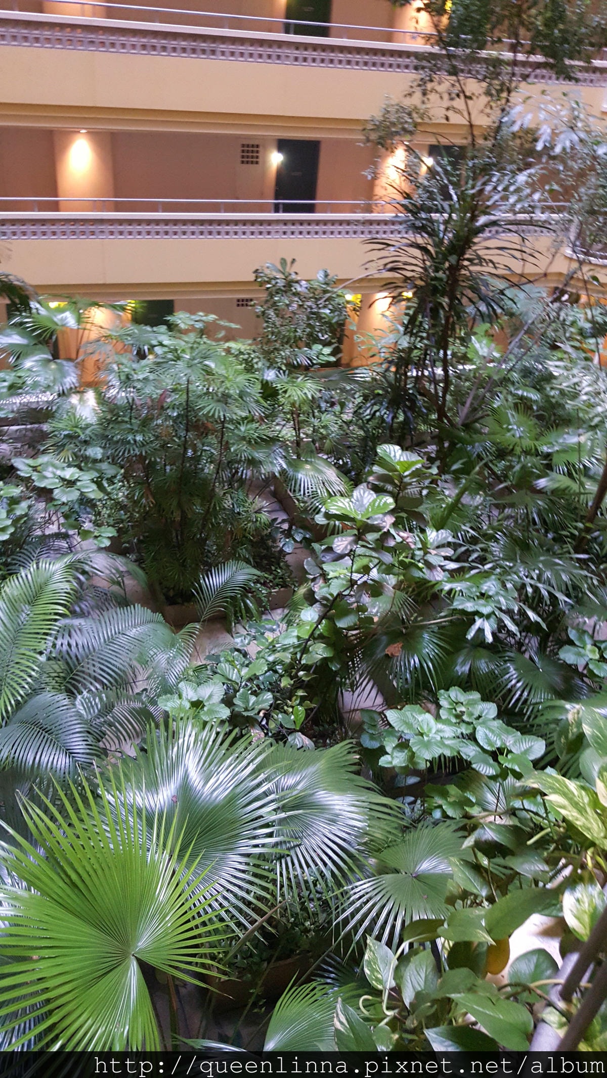 20150919_075624.jpg 20150919_075624.jpg