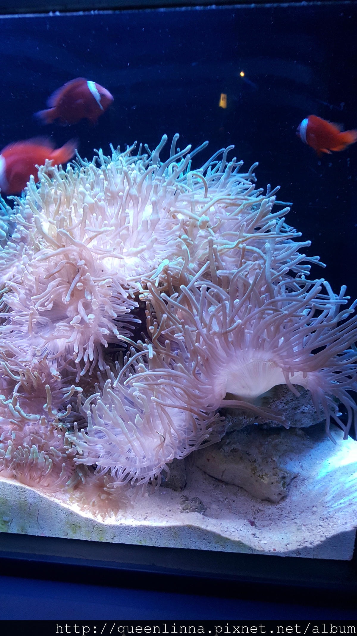 20150918_125214.jpg 20150918_125214.jpg