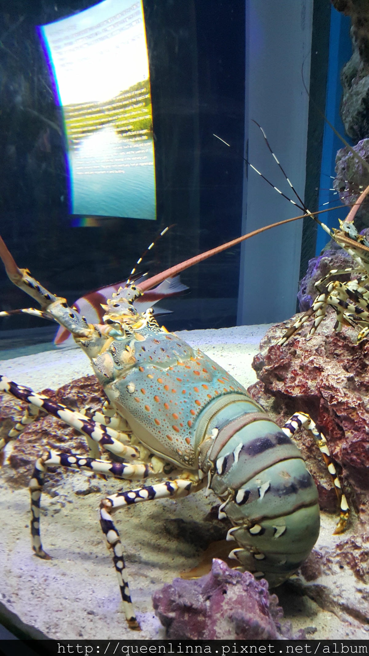 20150918_124706.jpg 20150918_124706.jpg