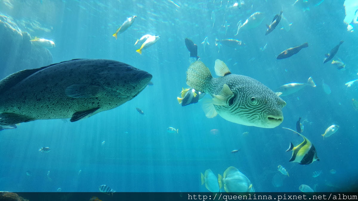 20150918_124405.jpg 20150918_124405.jpg