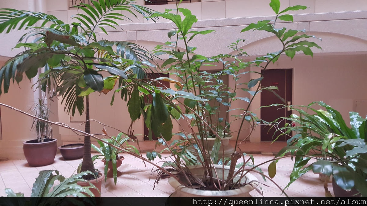 20150917_144829.jpg 20150917_144829.jpg