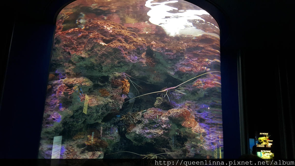 20150918_124641.jpg 20150918_124641.jpg