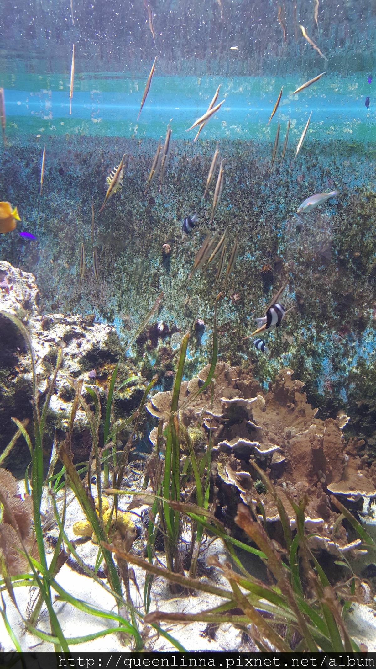 20150918_124946.jpg 20150918_124946.jpg