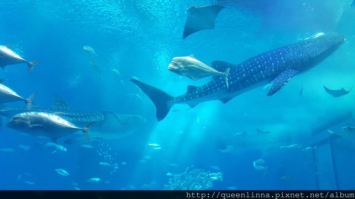 20150918_132348.jpg 20150918_132348.jpg